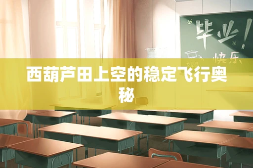 西葫芦田上空的稳定飞行奥秘