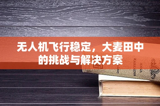 无人机飞行稳定，大麦田中的挑战与解决方案