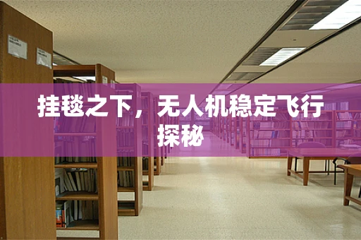挂毯之下，无人机稳定飞行探秘
