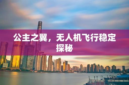 公主之翼，无人机飞行稳定探秘
