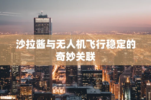 沙拉酱与无人机飞行稳定的奇妙关联
