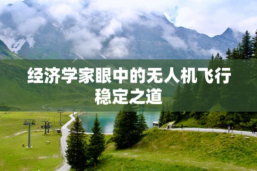 经济学家眼中的无人机飞行稳定之道