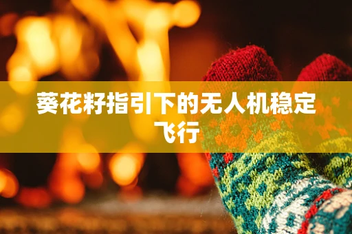 葵花籽指引下的无人机稳定飞行