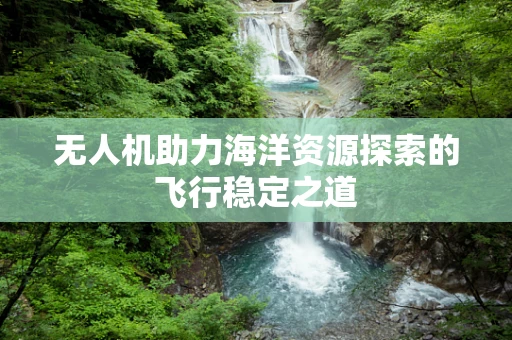 无人机助力海洋资源探索的飞行稳定之道