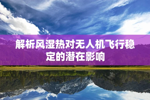 解析风湿热对无人机飞行稳定的潜在影响