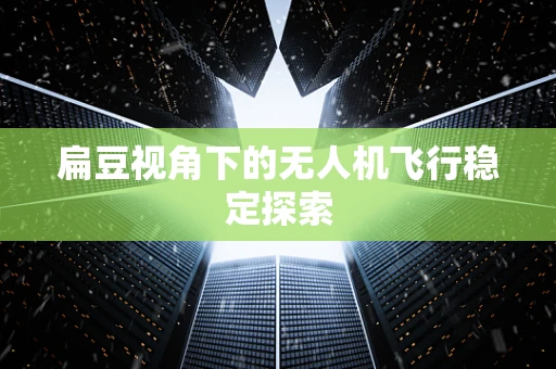 扁豆视角下的无人机飞行稳定探索