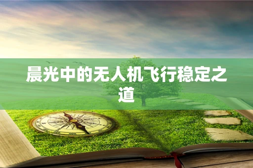 晨光中的无人机飞行稳定之道