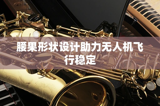 腰果形状设计助力无人机飞行稳定
