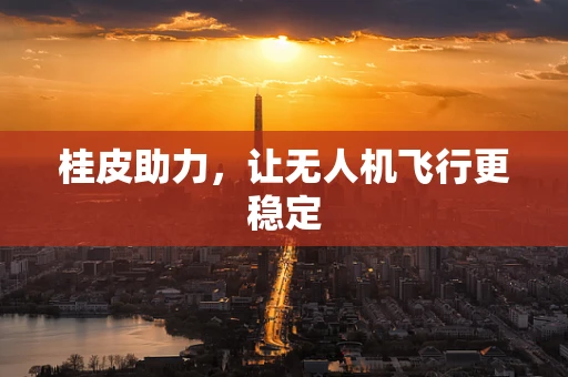 桂皮助力，让无人机飞行更稳定