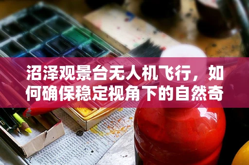 沼泽观景台无人机飞行，如何确保稳定视角下的自然奇观？