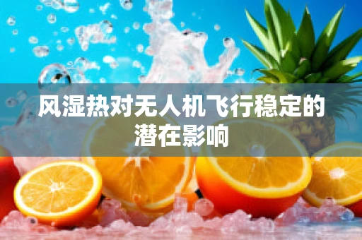 风湿热对无人机飞行稳定的潜在影响