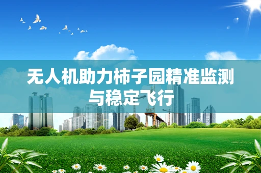 无人机助力柿子园精准监测与稳定飞行