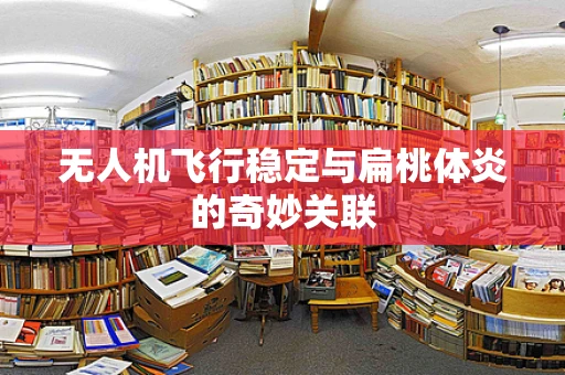 无人机飞行稳定与扁桃体炎的奇妙关联
