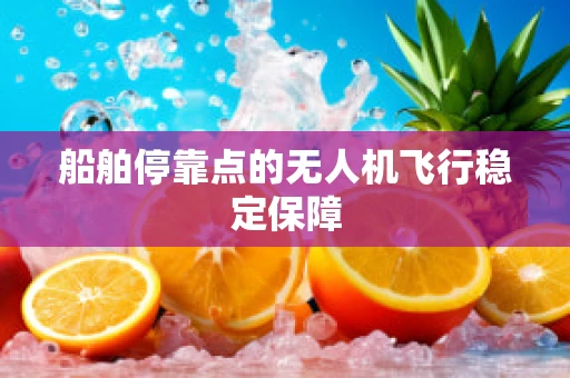 船舶停靠点的无人机飞行稳定保障