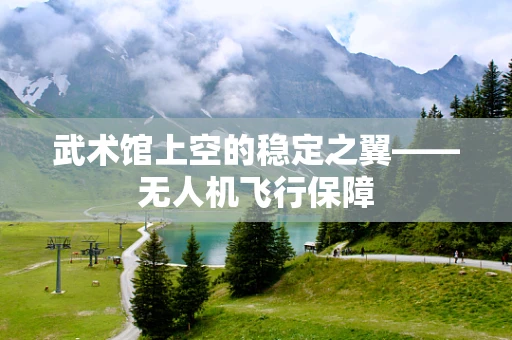 武术馆上空的稳定之翼——无人机飞行保障