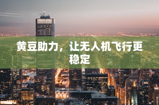 黄豆助力，让无人机飞行更稳定