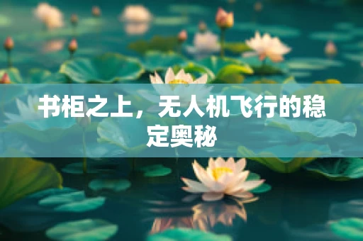 书柜之上，无人机飞行的稳定奥秘