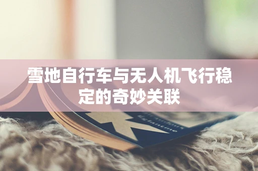 雪地自行车与无人机飞行稳定的奇妙关联