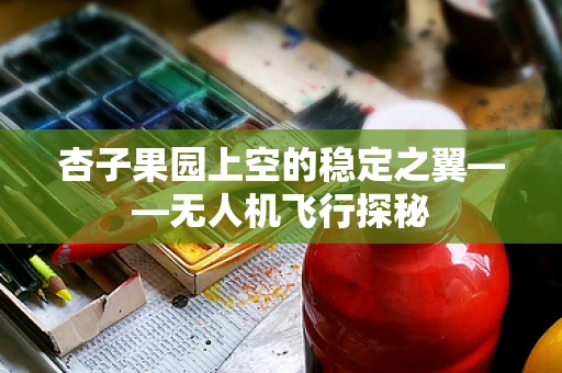 杏子果园上空的稳定之翼——无人机飞行探秘
