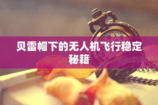 贝雷帽下的无人机飞行稳定秘籍