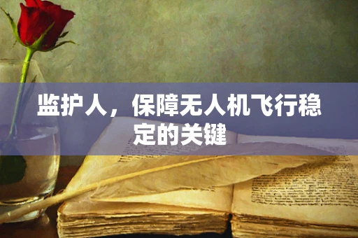 监护人，保障无人机飞行稳定的关键