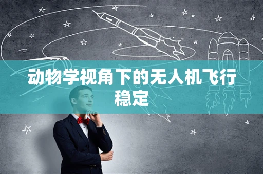 动物学视角下的无人机飞行稳定