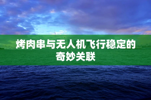 烤肉串与无人机飞行稳定的奇妙关联