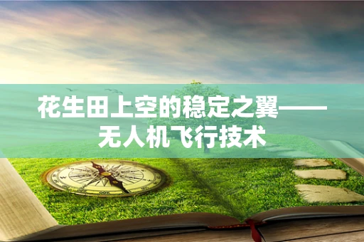 花生田上空的稳定之翼——无人机飞行技术