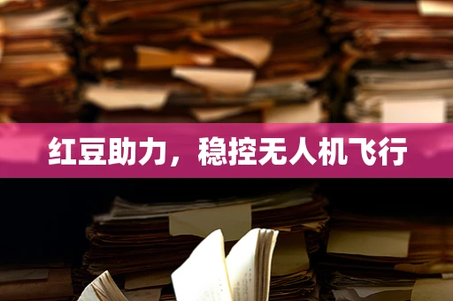 红豆助力，稳控无人机飞行