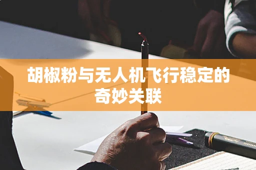 胡椒粉与无人机飞行稳定的奇妙关联