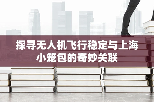 探寻无人机飞行稳定与上海小笼包的奇妙关联