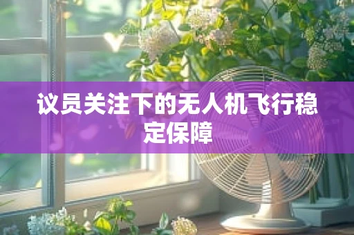 议员关注下的无人机飞行稳定保障
