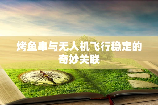 烤鱼串与无人机飞行稳定的奇妙关联