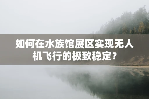 如何在水族馆展区实现无人机飞行的极致稳定？