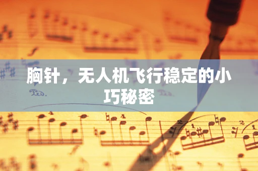 胸针，无人机飞行稳定的小巧秘密