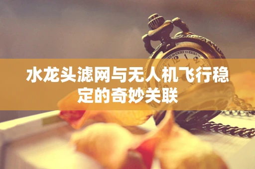 水龙头滤网与无人机飞行稳定的奇妙关联