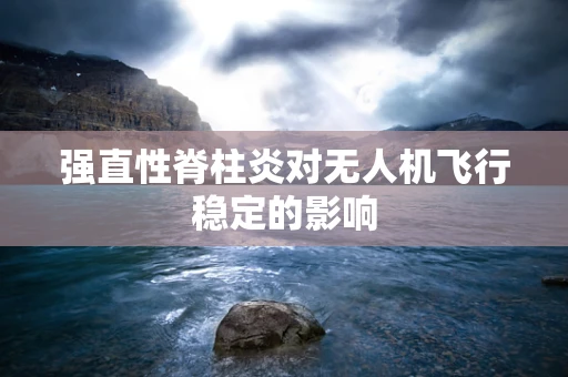 强直性脊柱炎对无人机飞行稳定的影响