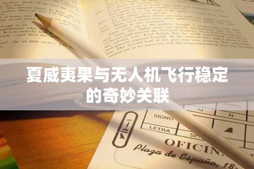 夏威夷果与无人机飞行稳定的奇妙关联