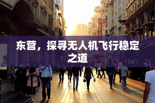 东营，探寻无人机飞行稳定之道