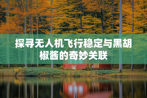 探寻无人机飞行稳定与黑胡椒酱的奇妙关联