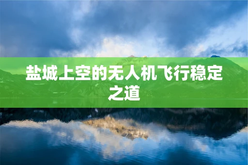 盐城上空的无人机飞行稳定之道