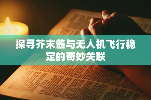 探寻芥末酱与无人机飞行稳定的奇妙关联