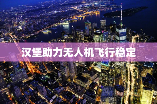 汉堡助力无人机飞行稳定