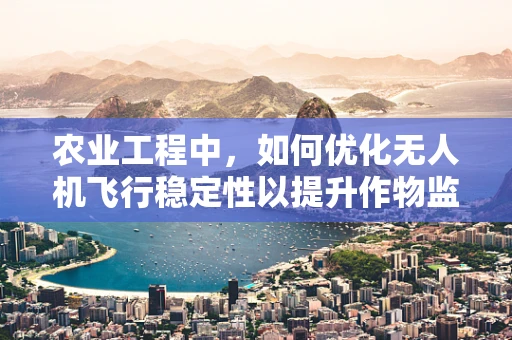 农业工程中，如何优化无人机飞行稳定性以提升作物监测精度？