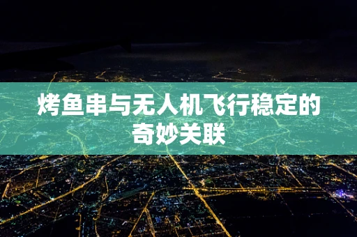 烤鱼串与无人机飞行稳定的奇妙关联