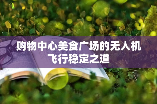 购物中心美食广场的无人机飞行稳定之道