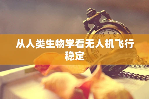 从人类生物学看无人机飞行稳定