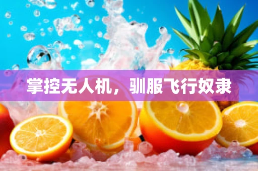 掌控无人机，驯服飞行奴隶
