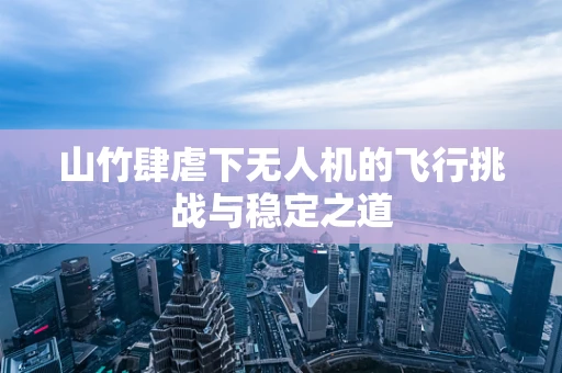 山竹肆虐下无人机的飞行挑战与稳定之道