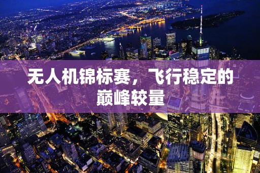 无人机锦标赛，飞行稳定的巅峰较量